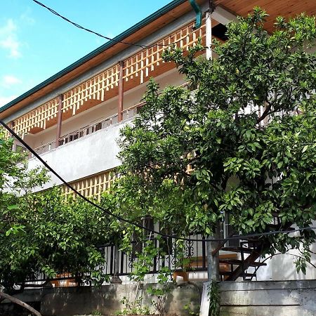 Inzhir Guest House New Athos Bagian luar foto