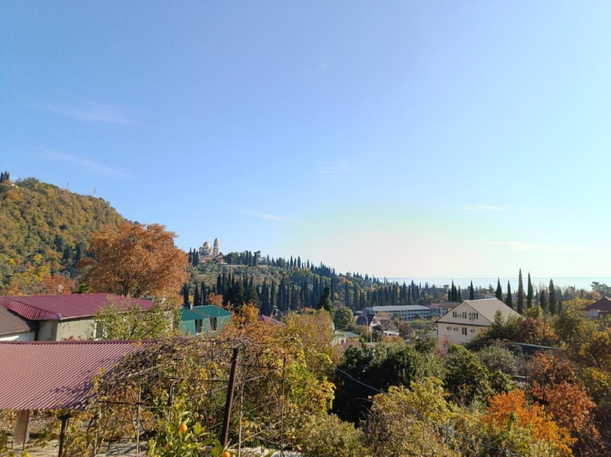 Inzhir Guest House New Athos Bagian luar foto