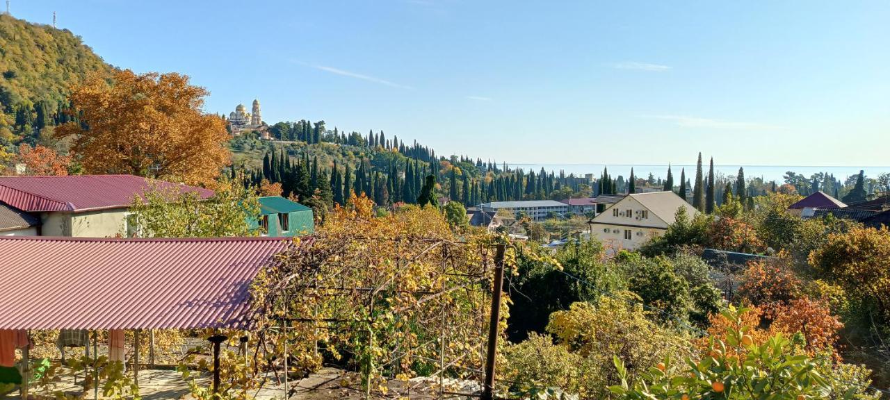 Inzhir Guest House New Athos Bagian luar foto