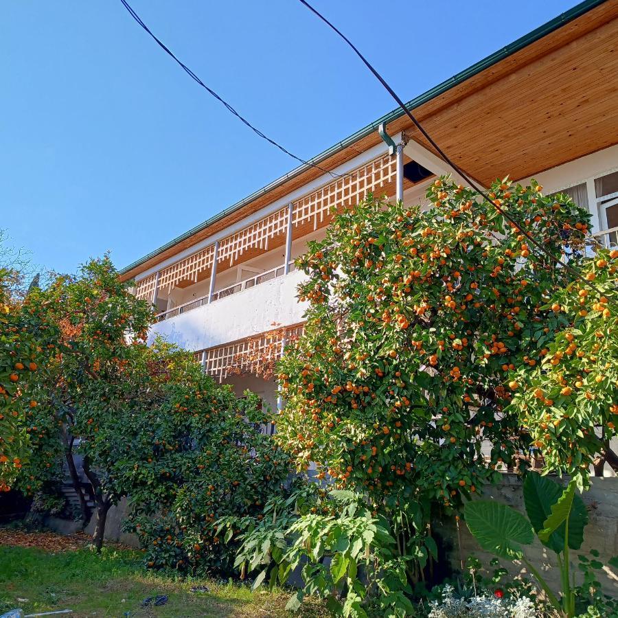 Inzhir Guest House New Athos Bagian luar foto