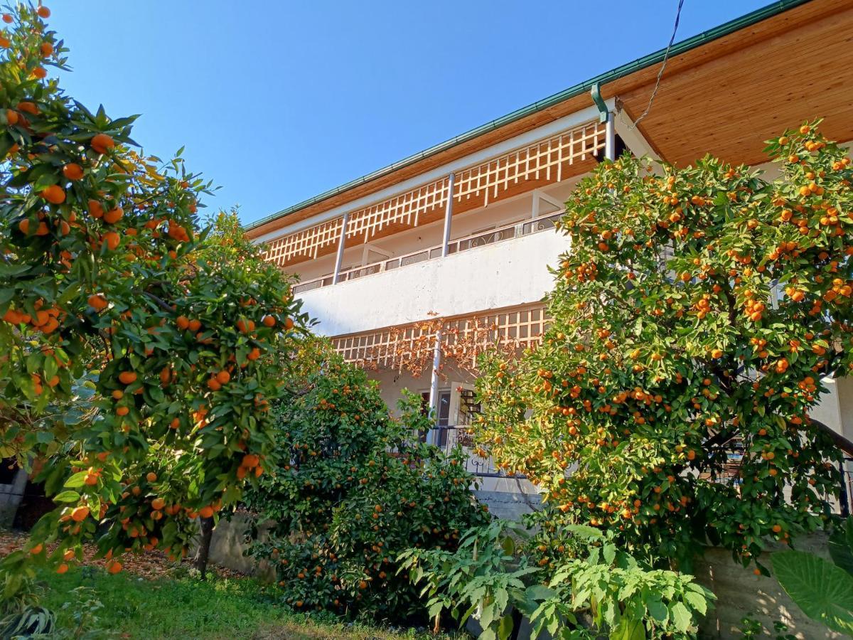 Inzhir Guest House New Athos Bagian luar foto