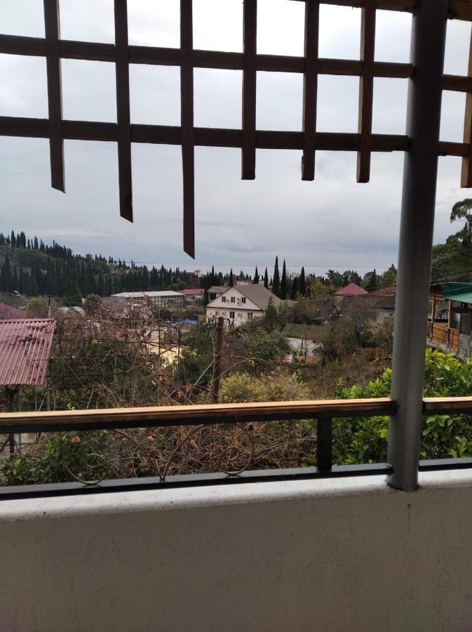 Inzhir Guest House New Athos Bagian luar foto